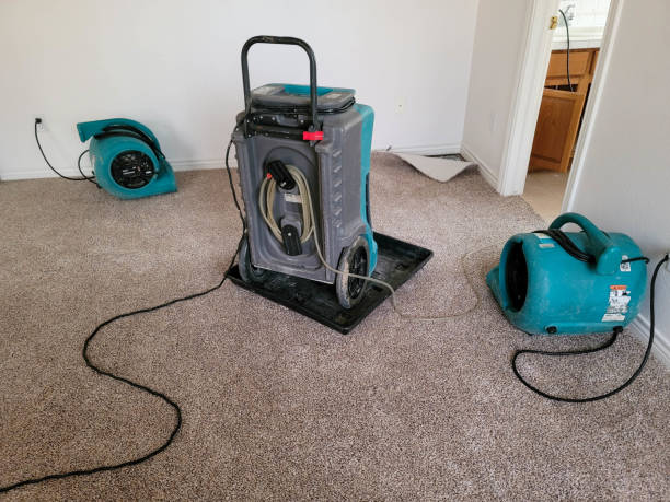 Best Fire Damage Restoration  in Emigsville, PA