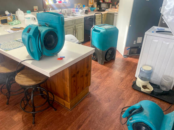 Best Local water damage restoration  in Emigsville, PA