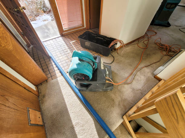 Best Water damage restoration services  in Emigsville, PA
