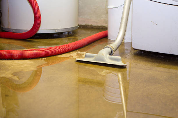 Best Mold removal after water damage  in Emigsville, PA
