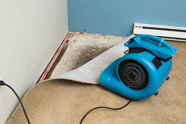 Best Carpet water damage restoration  in Emigsville, PA